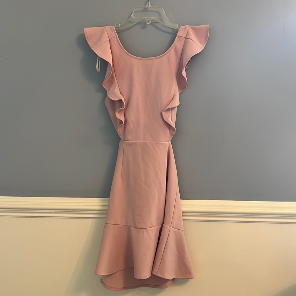 Hello Molly Pink Ruffle Dress - NWT